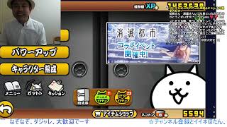 大狂乱の牛に再挑戦！大狂乱のライオン欲しい！【にゃんこ大戦争】ゲームプレイ生配信214【無課金です】