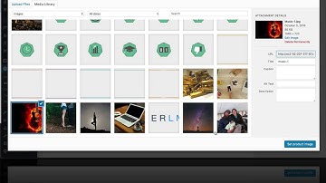 Other Ecommerce Options with WooCommerce Optional