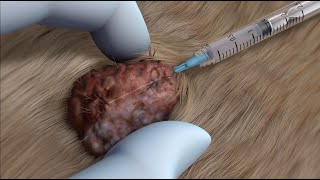 STELFONTA mode of action