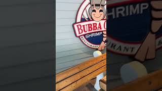 Bubba Gump Shrimp in Daytona Beach