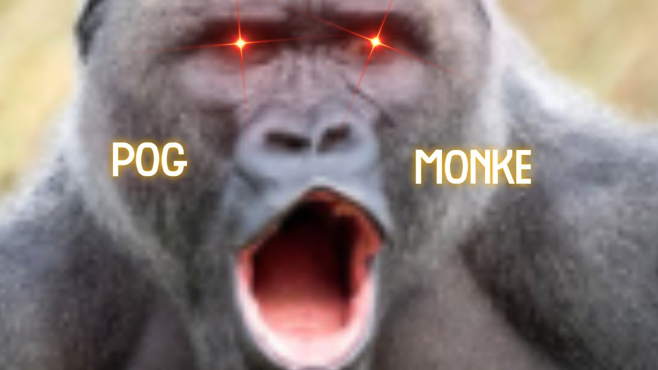 Gorilla Da Spinna YouTube
