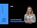 Химический состав клетки. Вода. Неорганические вещества | Биология