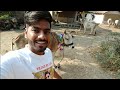 Village life after one day of Diwali | Govardhan | #happydiwali