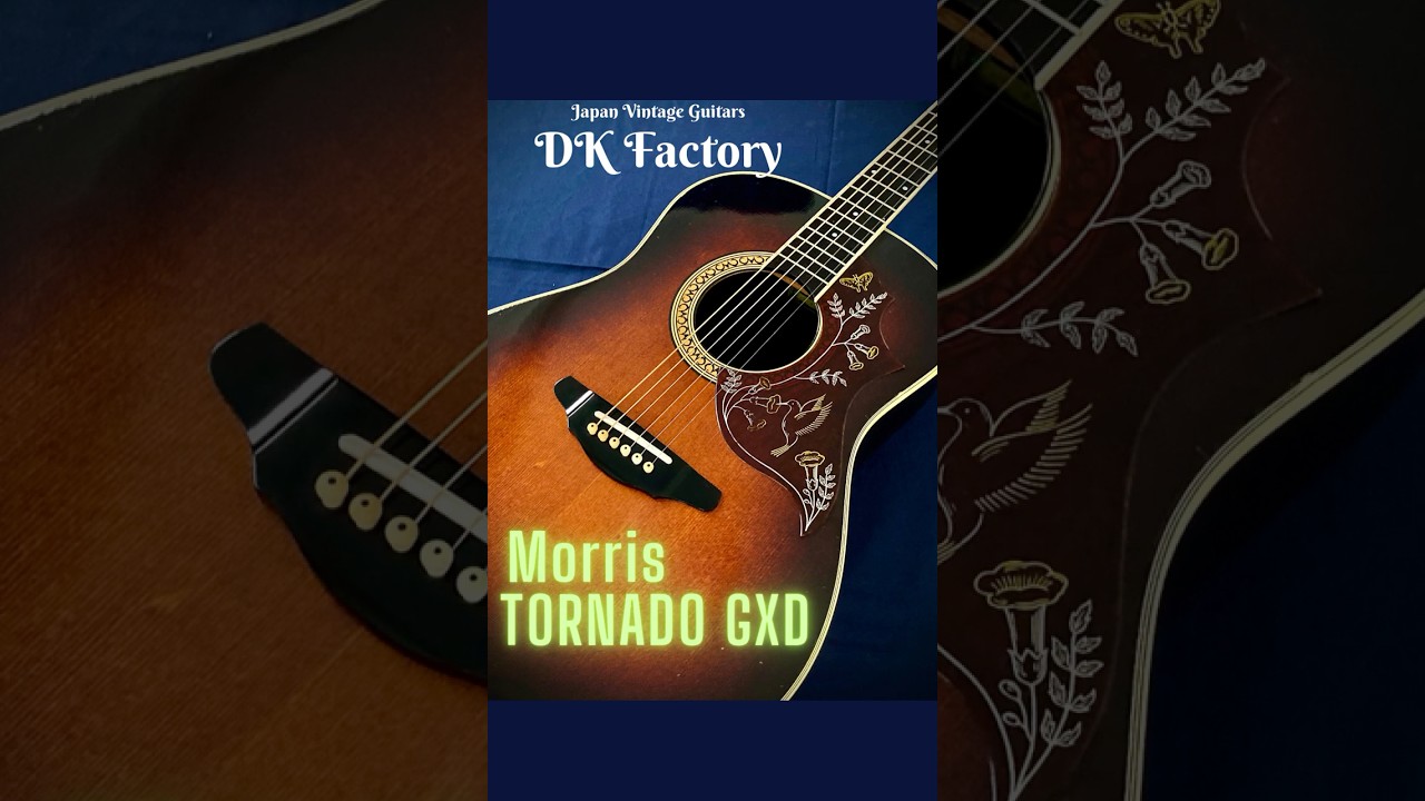 モーリス ( Morris ) TORNADO GXD 1984 Gseries スプルース単板TOP