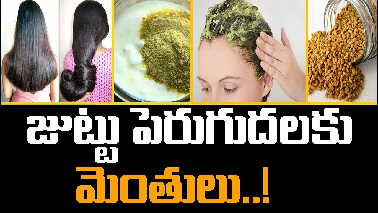 జుట్టు పెరుగుదలకు మెంతులు..! Fenugreek Seeds Fenugreek Hair
