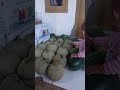 #semangka #melon #buah #anakanak #anak #kucinglucu #kucing #ikan #duniaanak #baby