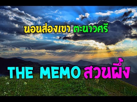 เดอะ เมมโม รีสอร์ท สวนผึ้ง นอนส่องเขา ตะนาวศรี ที่พักหลักร้อย ราชบุรี The Memo resort