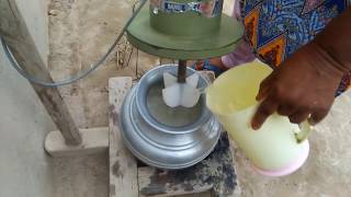 Homemade Milk, Yogurt, Butter | How to Make Doodh , Dahi or Makhan | Village Cooking Punjab