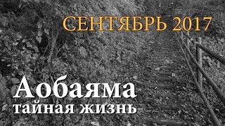 Фотоловушка. Сентябрь 2017 Фотоловушка. Сентябрь 2017