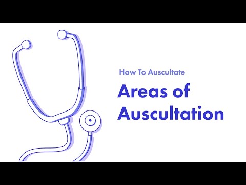 Areas of Auscultation - Learn How to Auscultate (Part 4)