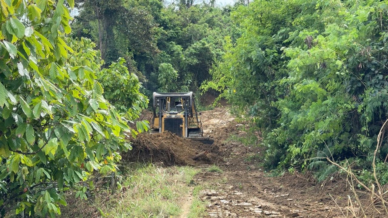 Unbelievable! CAT D6R XL Cutting Through Extreme Mountain Roads