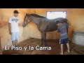 Universidad San Carlos - Construcciones Rurales - Pesebreras para equinos