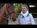 Le dpart au galop sur le bon pied a cheval