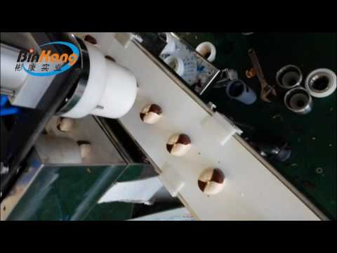BK-168-II Double color cookies filled encrusting machine In Shanghai