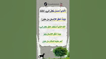الذي احسن كل شيء خلقه وبدأ خلق الإنسان من طين . سورة السجدة آية ٧ عبدالله الموسى