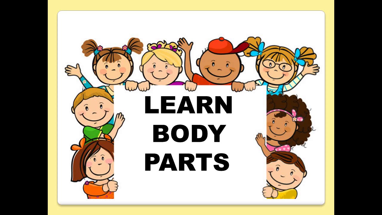 Scena Guantone Incoraggiamento Body Parts Lesson Pap Inverno Pattumiera