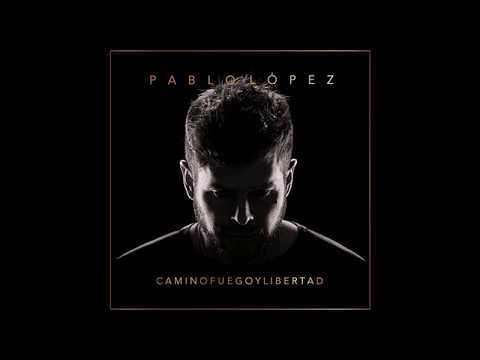 El Gato - Pablo López (con letra)