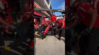 F1 Teams doing pitstop practice in Hungary Paddock F1 Teams doing pitstop practice in Hungary Paddock