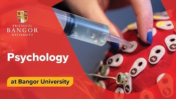 Studeer psychologie aan de Bangor University