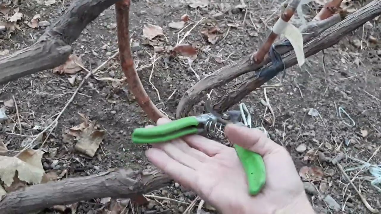 Шатырлы секс порно видеолар