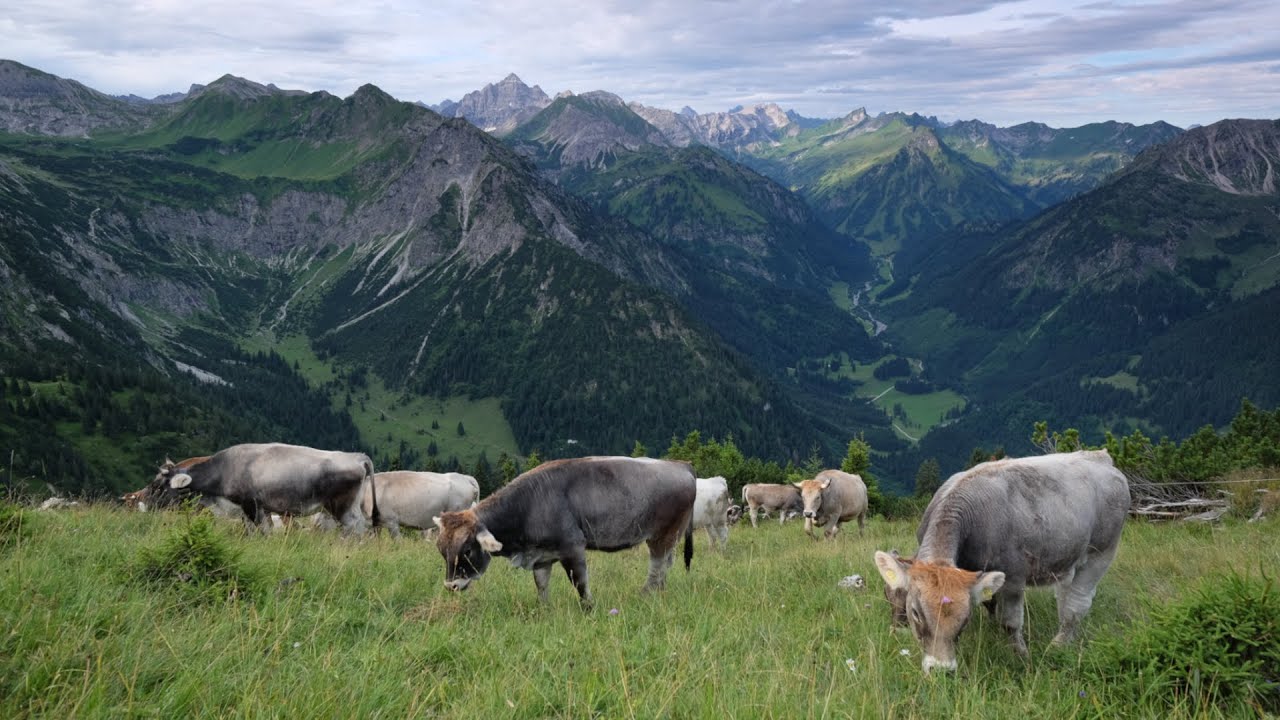 Bad Hindelang im Allgäu - Wo die Seele der Alpen zuhause ist