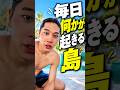 何も計画立てなくても毎日何かが起きる島。