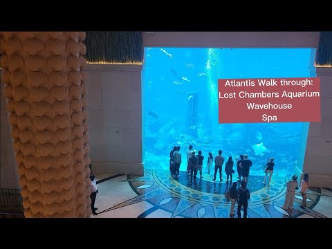 Walk with me through Atlantis Dubai's Lost Chambers Aquarium, Wavehouse restaurant and Spa