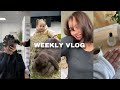 Spend a week with me  vlog