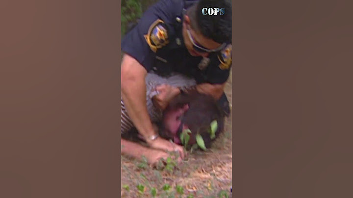 Officer Maldonado was not letting this suspect get away! 🏃‍♂️ #copstv #cops #shorts