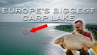The Most Important Carp of My Life | Lee Mozza Morris | Carp Fishing Lake Balaton by Fox International Carp Fishing 69,901 views 5 months ago 58 minutes