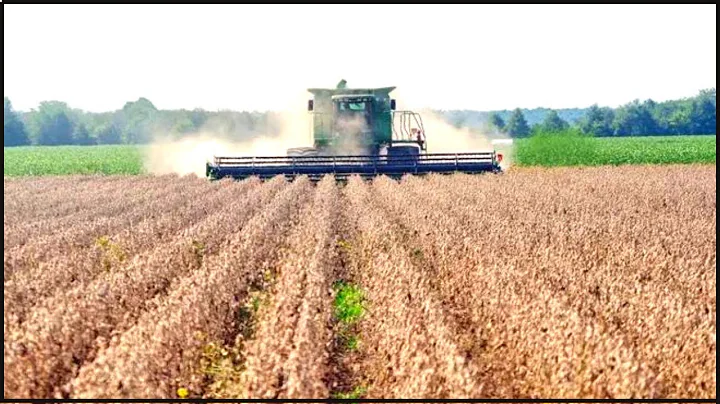 How To Produce Millions Of Tons Of Soybeans | Modern Agricultural Technology | Soy milk Processing