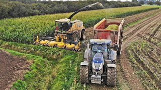 Mais Silage | New Holland FR650 | Van der Woerd | 2020