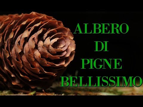 Video: Come Fare Un Albero Di Natale Con Un Pennello Per Lavare I Piatti