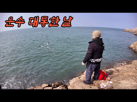 갯바위 술안주 잡으러 갔다가.. 저한테 이런 일 벌어질 줄 꿈에도 몰랐습니다!!