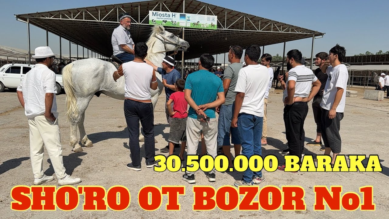 SHO'RO OT BOZOR 15.000$  BESHKEK TOYI BARAKALAR VA JANJAL SAVDOLAR AVJIDA LIKE👍 KETING AZIZLAR.