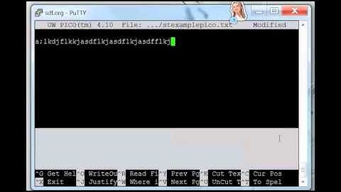 How to access PICO in a UNIX server using PUTTY and sdf.org in detail