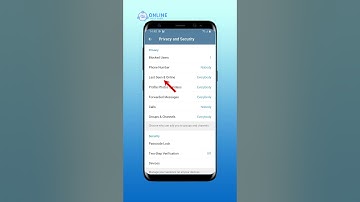 How to Hide Your Online Status on Telegram | Telegram Guide