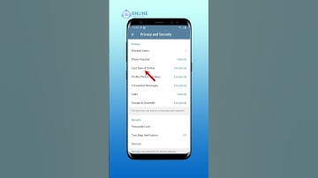 How to Hide Your Online Status on Telegram | Telegram Guide