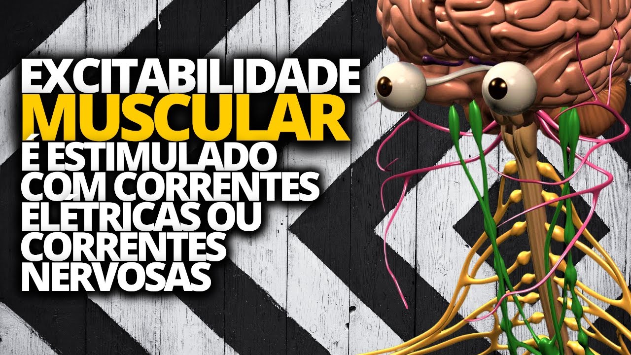 TECIDO MUSCULAR - O QUE É EXCITABILIDADE - YouTube