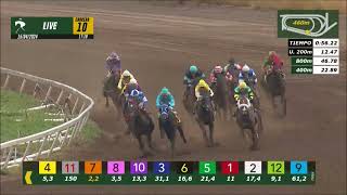 Vidéo de la course PMU PRIX PACHU AUKAN