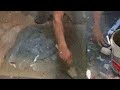 زميلي كذاب       حالتي