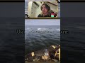 J’aime pas les requins sur ce jeu…Twitch MERCREDIS 20h YouTube VENDREDIS 16h #sonsoftheforest