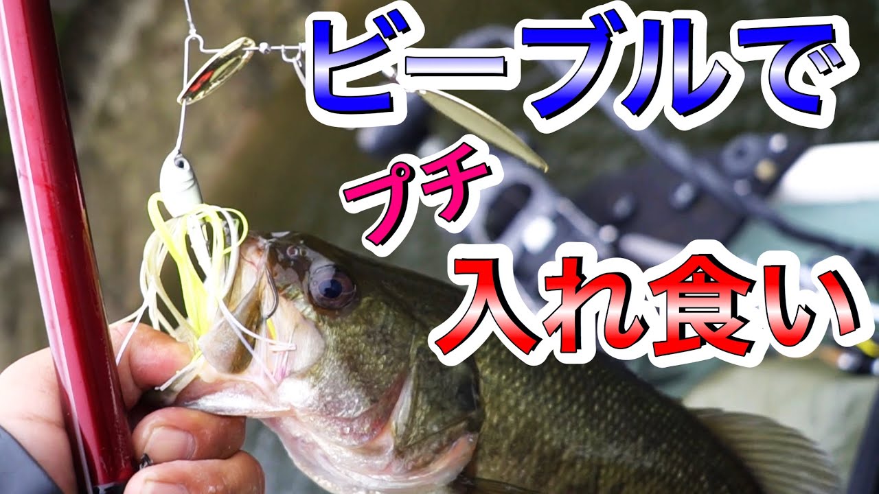 帰着３０分前 ボトムアップ ビーブル でプチラッシュに遭遇 バス釣り ボトムアップ ビーブル Youtube