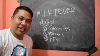 Milk Fever, Calcium, Paano nagkakaroon ng Gatas at bottle feeding