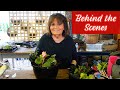 Behind the scenes at a family run wisconsin garden center  2023 ep1