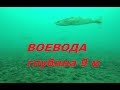 Остров Русский Воевода подводные съемки 2 января 2022 г