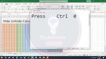 How To How To Hide Unhide Column In Excel | 2025