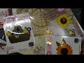 HSN Haul incl TSOL Fold-It Basket/Flower Set, AG Pop Out & DP Marquise Autoships & NEW Product Links