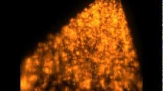meteor test in autodesk maya