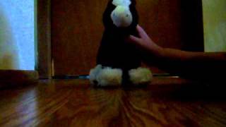 webkinz raffle!